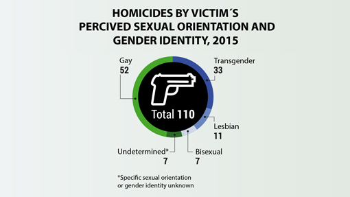 Homicidios por orientación sexual o identidad de género percibida de las víctimas, 2015