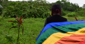 The SJP decided on the rights of victims of sexual, reproductive and gender-based violence without a gender perspective.