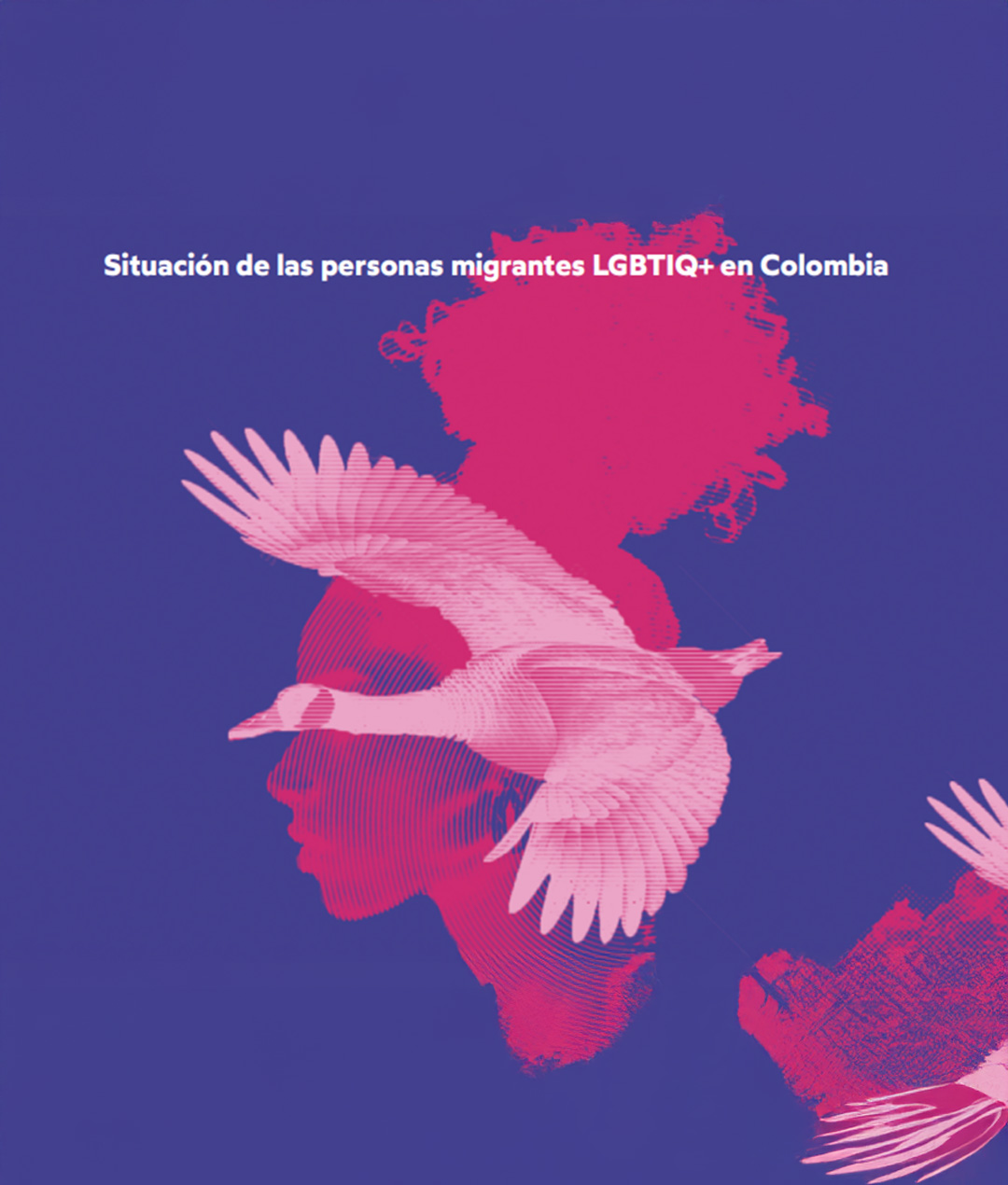 Boletín sobre personas LGBTIQ+ migrantes