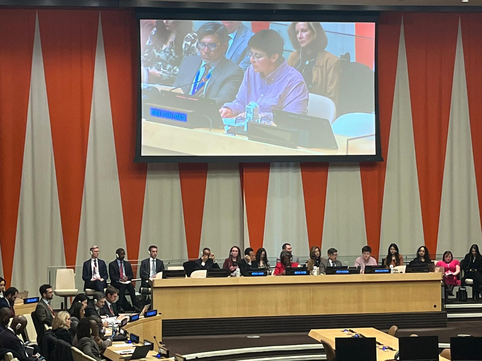 Intervención de Colombia Diversa ante la ONU