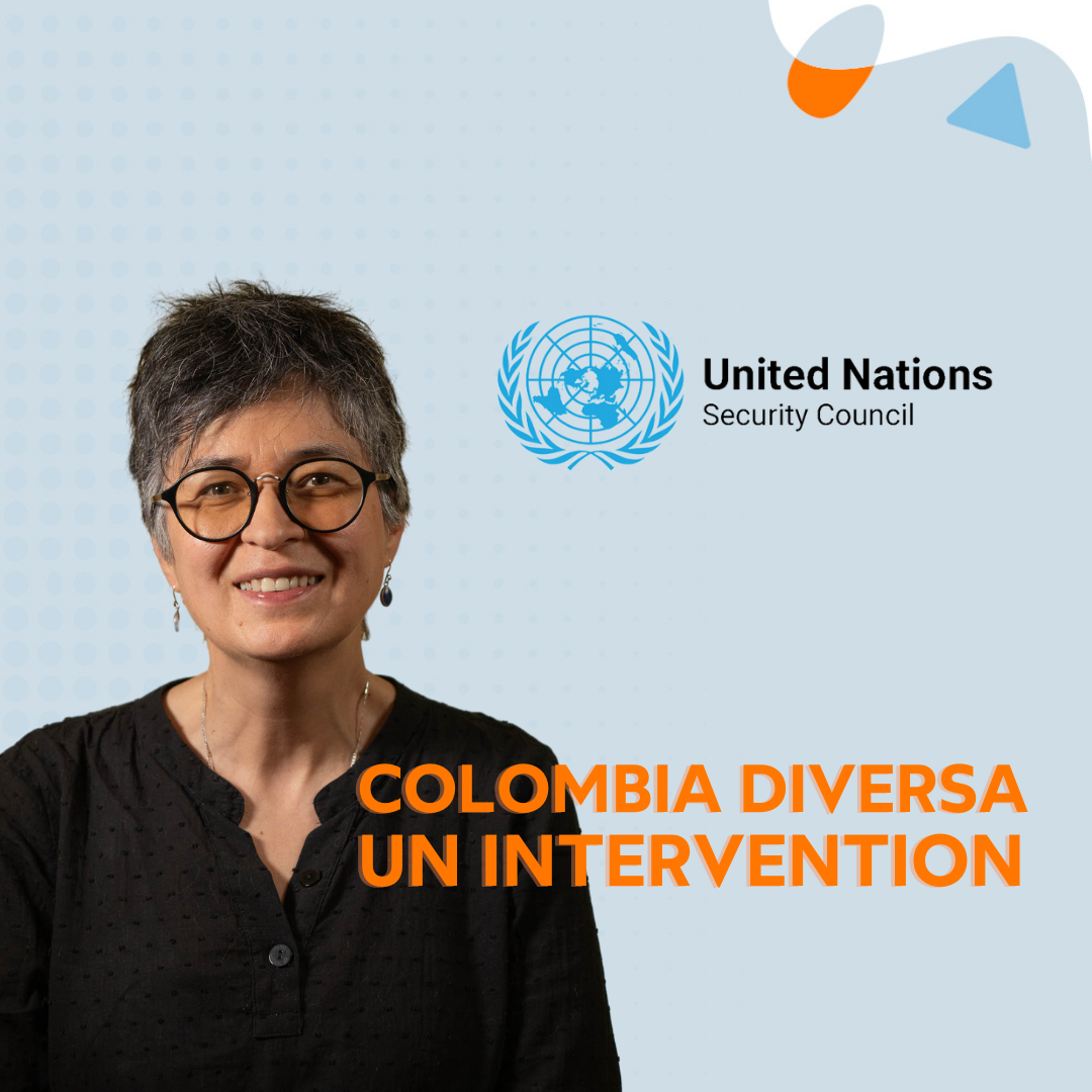 Colombia Diversa's intervention in the Security Council meeting