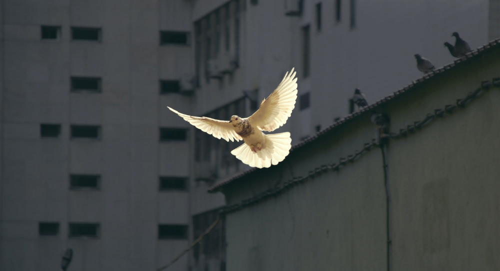 How are the measures for LGBT people in the Peace Agreement progressing?